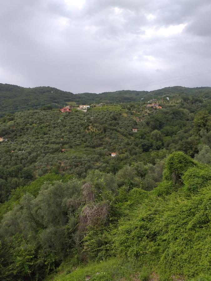 فيلا Casa Di Vecchio Borgo سارزانا المظهر الخارجي الصورة